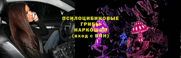МДПВ Елабуга