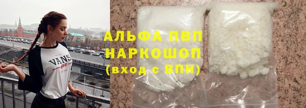 стафф Заводоуковск