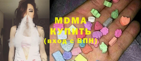 мдпв Ельня