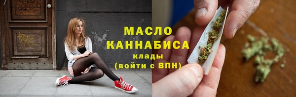 мдпв Ельня