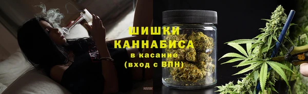 мдпв Ельня