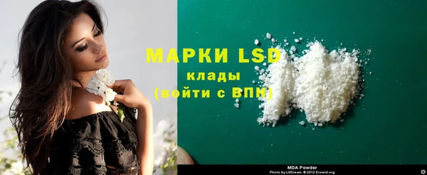гашик Елизово