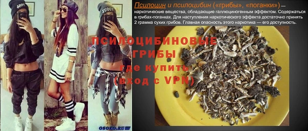 мдпв Ельня