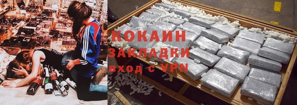 мдпв Ельня