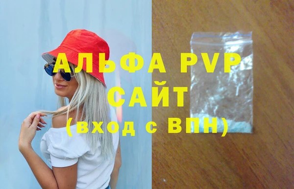 мдпв Ельня