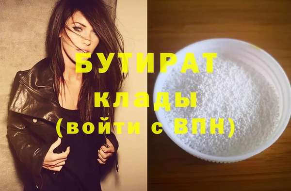 мдпв Ельня