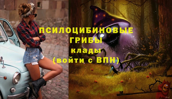 мдпв Ельня