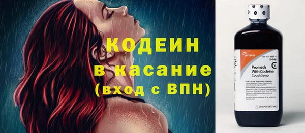 гашик Елизово