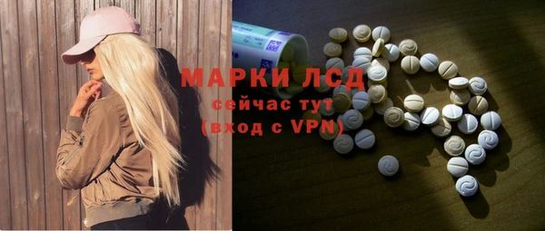 мдпв Ельня