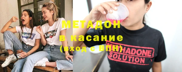 мдпв Ельня