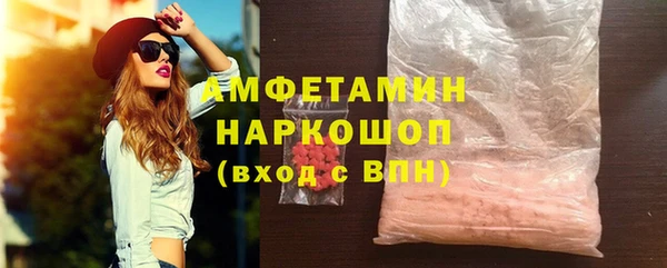 мдпв Ельня