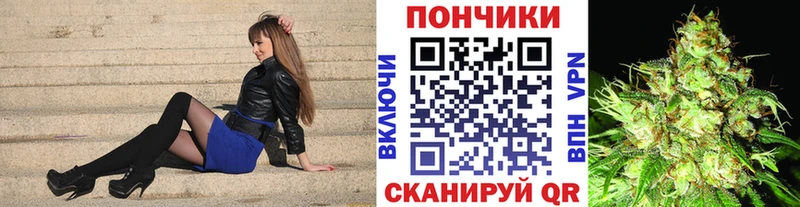 Шишки марихуана ГИДРОПОН  Купить где  Заинск 